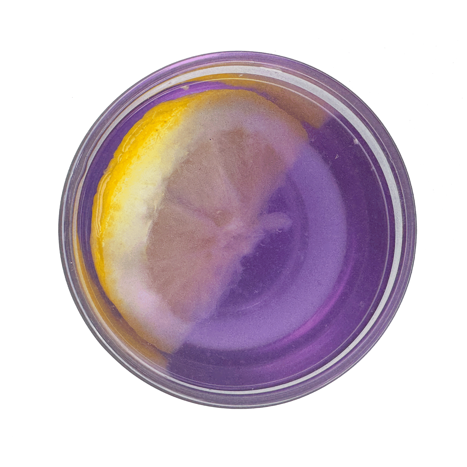 nappurp-bat-nieb-herb