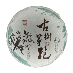 Śnieżne Pąki 2023